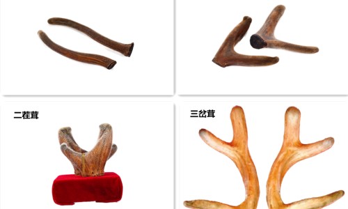 伸筋藤有毒性吗-伸筋藤禁忌网 - 伸筋藤怎么食用,伸筋藤的禁忌