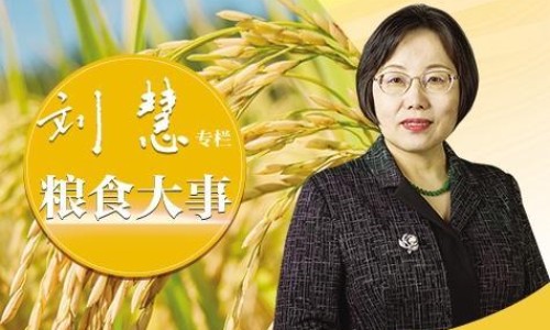 伸筋藤的用法用量-伸筋藤禁忌网 - 伸筋藤怎么食用,伸筋藤的禁忌